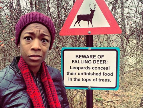 But no warnings about leopards.jpg